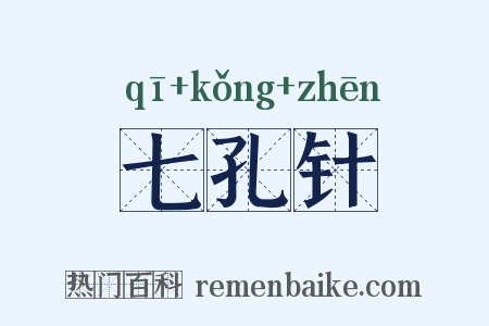 七孔针是什么意思的图片